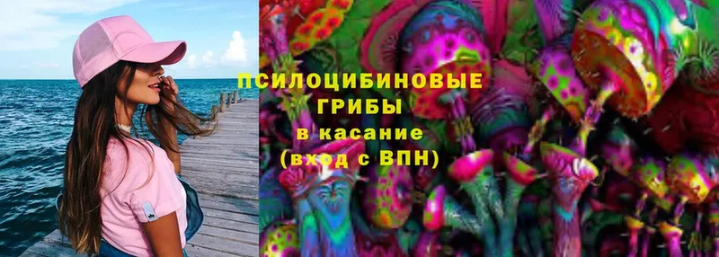 купить  сайты  Гулькевичи  Галлюциногенные грибы Psilocybe 